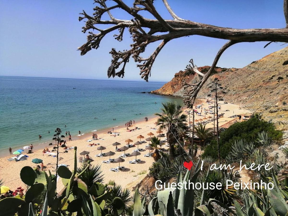 בורגאו Guesthouse Peixinho מראה חיצוני תמונה